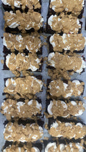 Load image into Gallery viewer, Loaded Brownie Slices & Packs