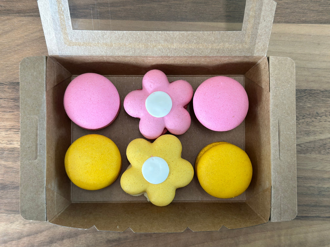 Mini macaron pack