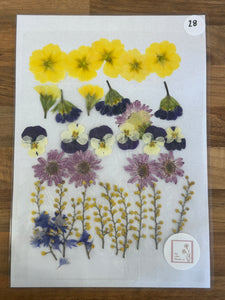 Pressed Flowers