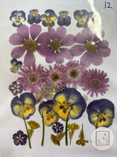 Load image into Gallery viewer, Pressed Flowers
