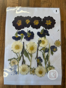 Pressed Flowers