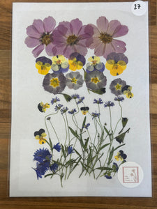 Pressed Flowers