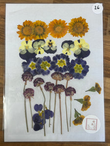 Pressed Flowers