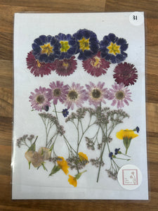 Pressed Flowers