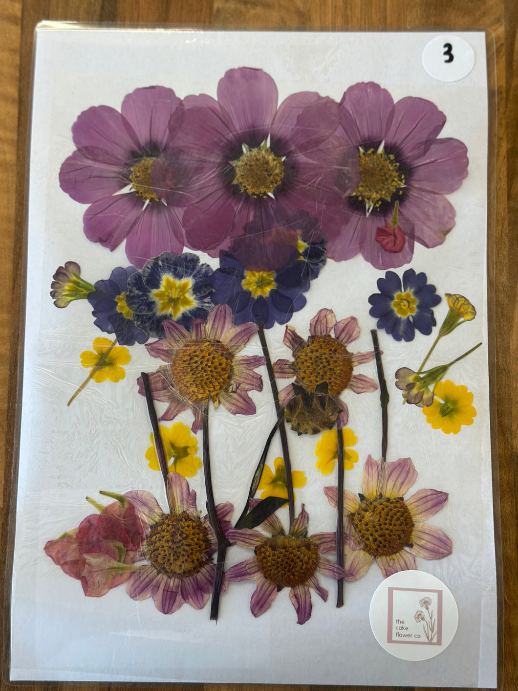 Pressed Flowers