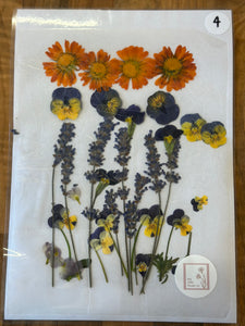 Pressed Flowers