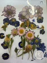 Load image into Gallery viewer, Pressed Flowers
