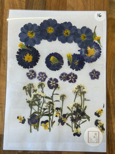 Pressed Flowers