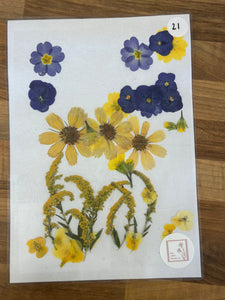 Pressed Flowers