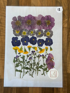 Pressed Flowers