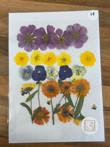 Pressed Flowers