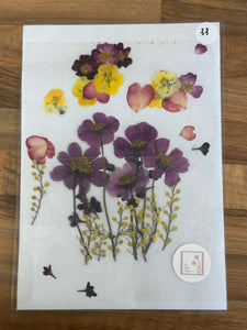 Pressed Flowers