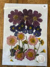 Load image into Gallery viewer, Pressed Flowers
