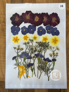 Pressed Flowers