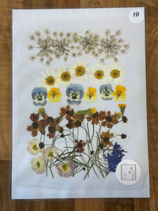 Pressed Flowers