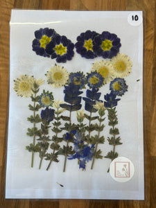 Pressed Flowers