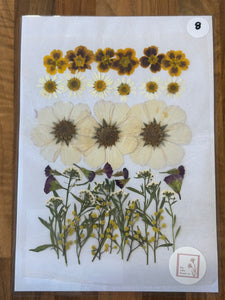 Pressed Flowers