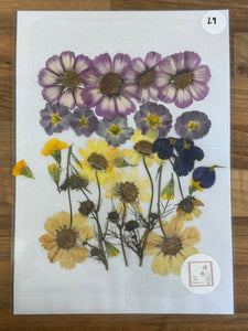 Pressed Flowers