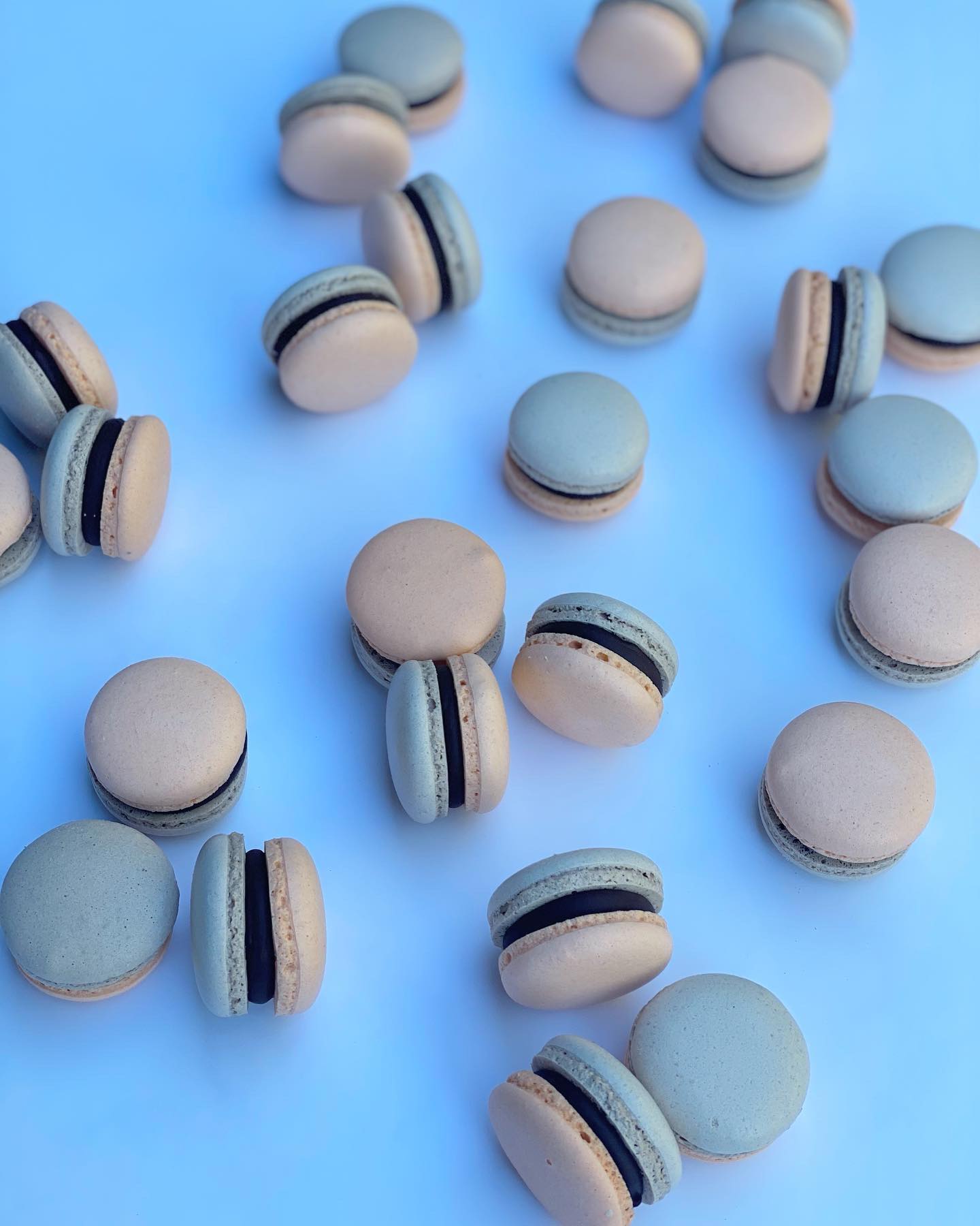 Small Macaroon Mini Macaron 12 pack - Flavoured – This Little Cakery